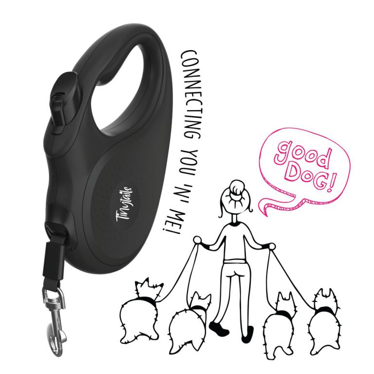Dog going on walk with retractable leash